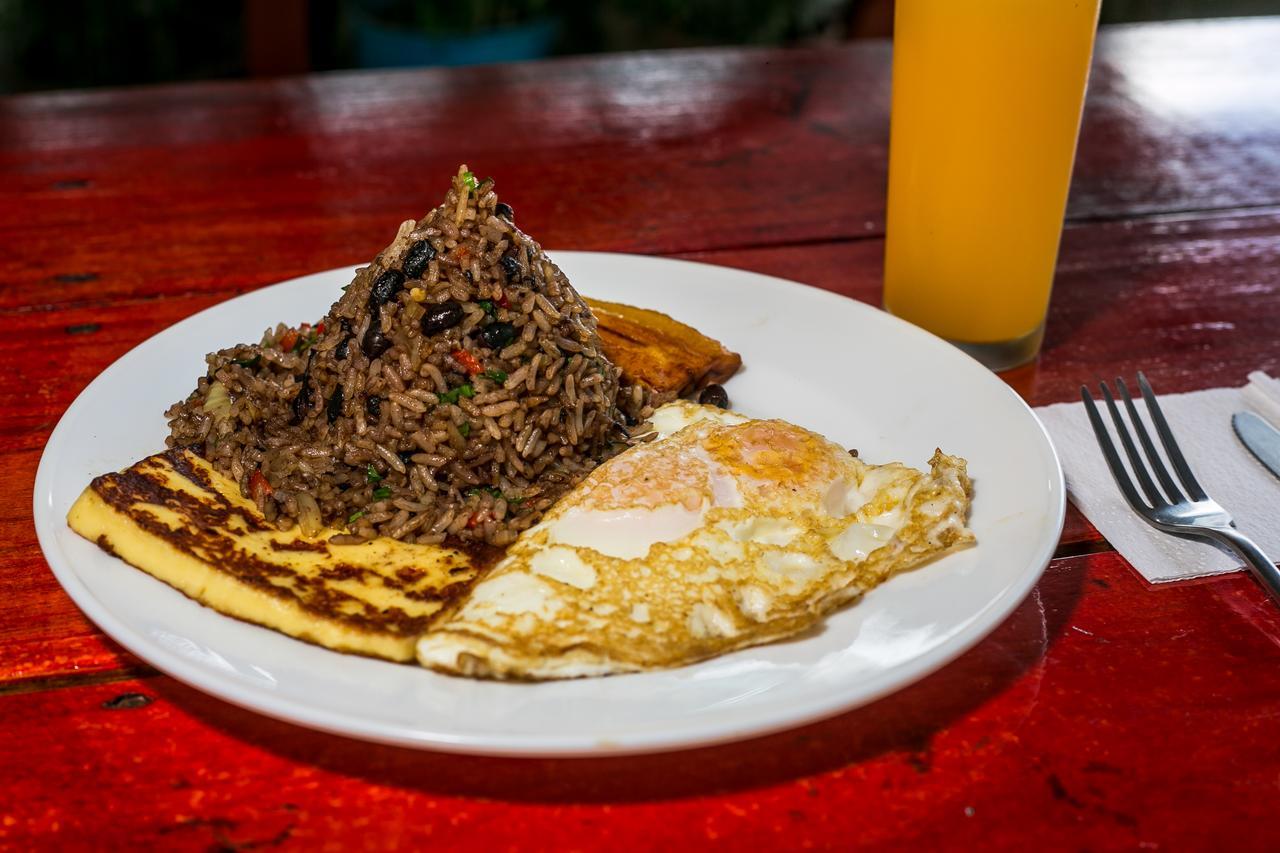 Arenal Container Hostel La Fortuna Ngoại thất bức ảnh