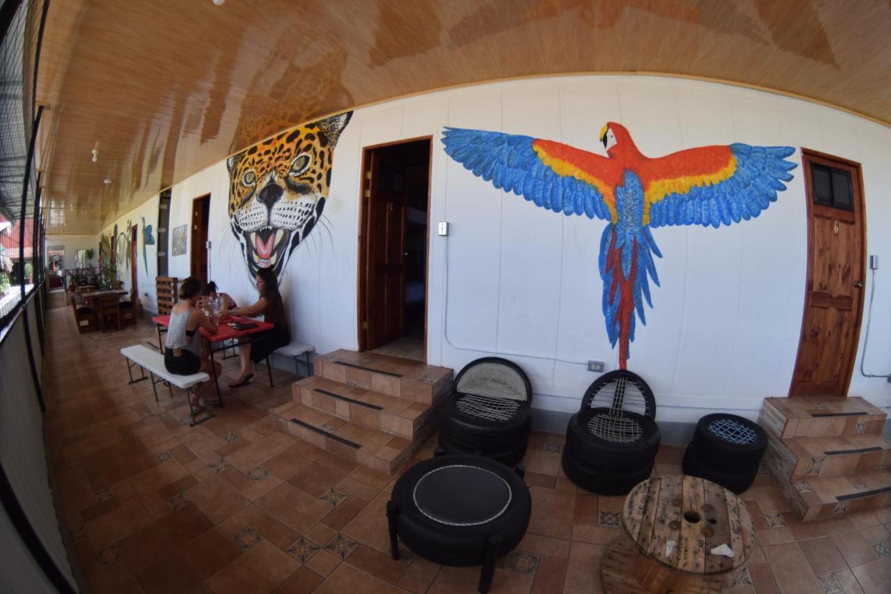 Arenal Container Hostel La Fortuna Ngoại thất bức ảnh