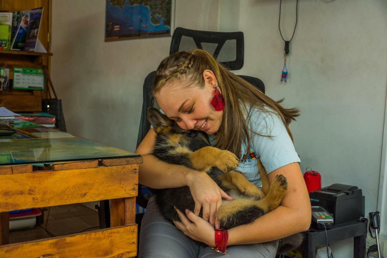 Arenal Container Hostel La Fortuna Ngoại thất bức ảnh
